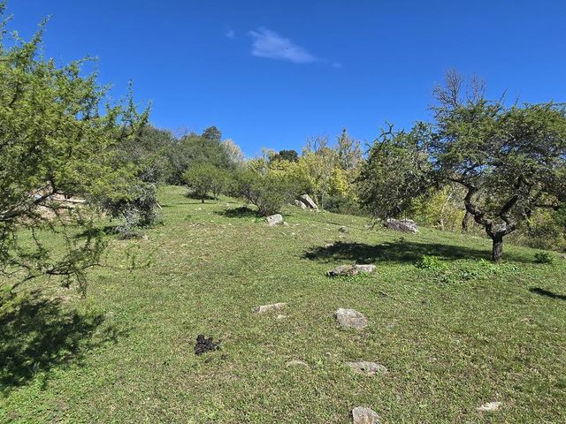 place photo 36