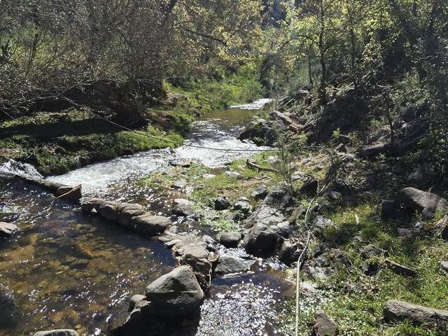 place photo 47