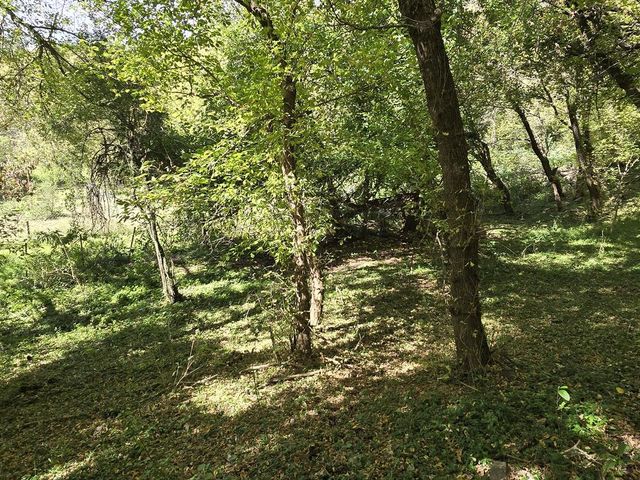 place photo 74
