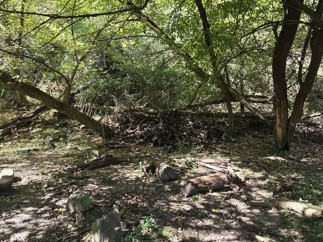 place photo 55
