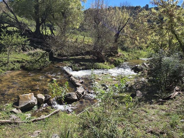 place photo 45