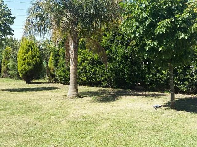 place photo 26