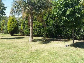 place photo 26