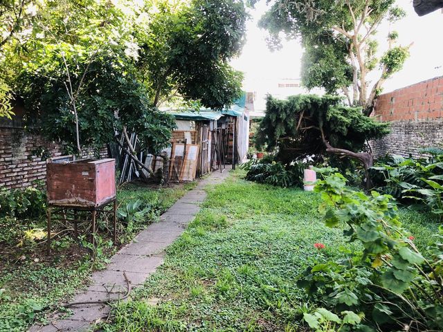 place photo 31