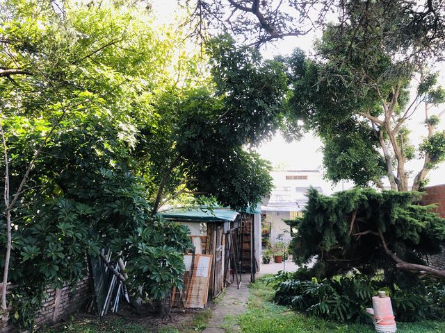 place photo 30