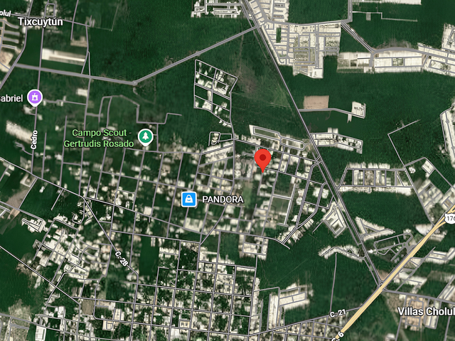 place photo 11