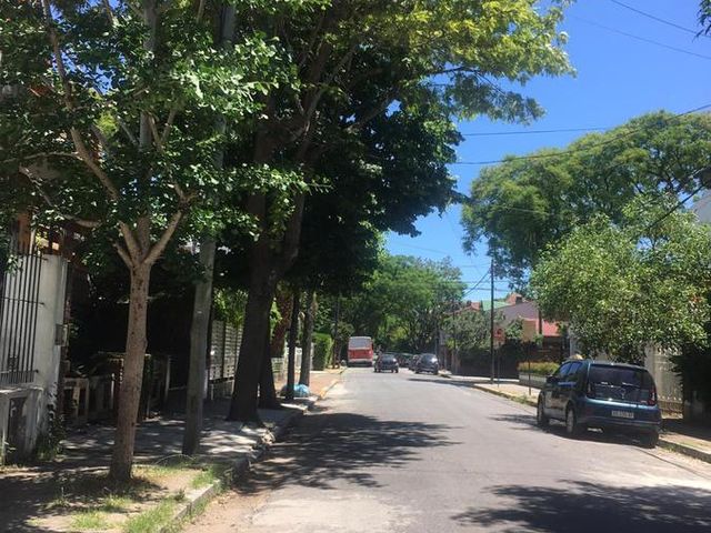 place photo 23