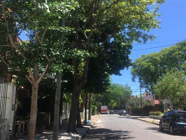 place photo 25
