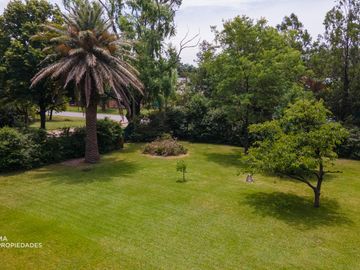 place photo 37