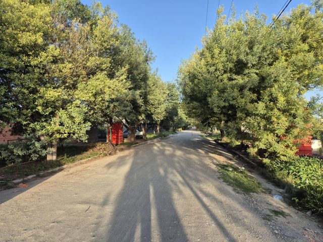 place photo 21