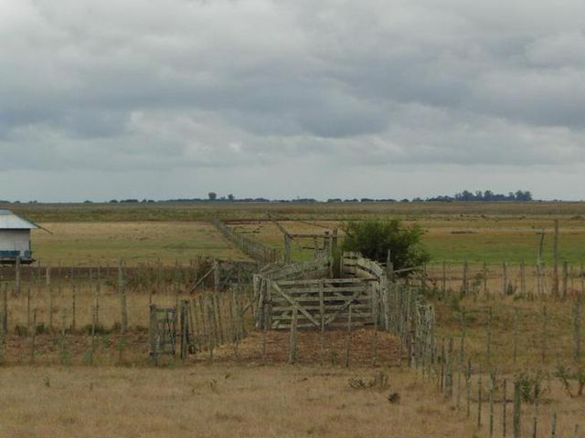 place photo 40