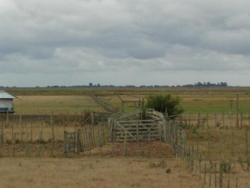 place photo 40