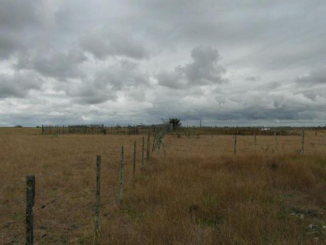 place photo 36