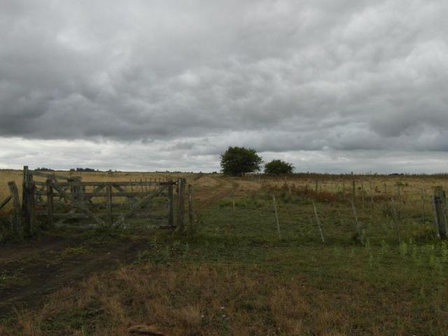 place photo 43