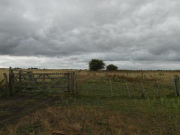 place photo 43