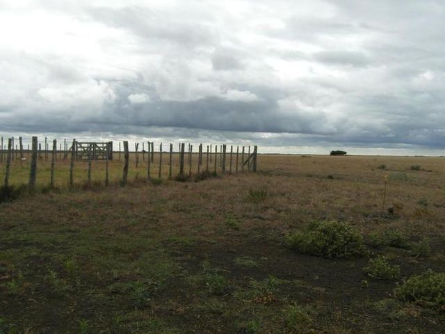 place photo 26