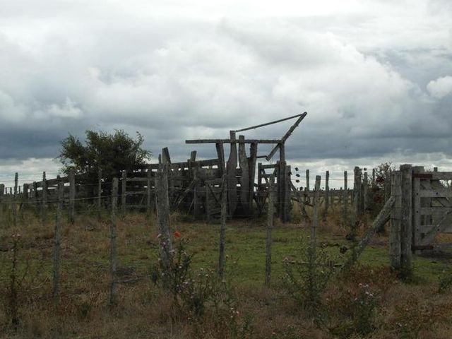 place photo 22
