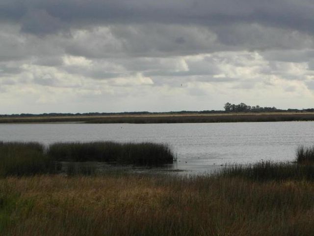 place photo 39