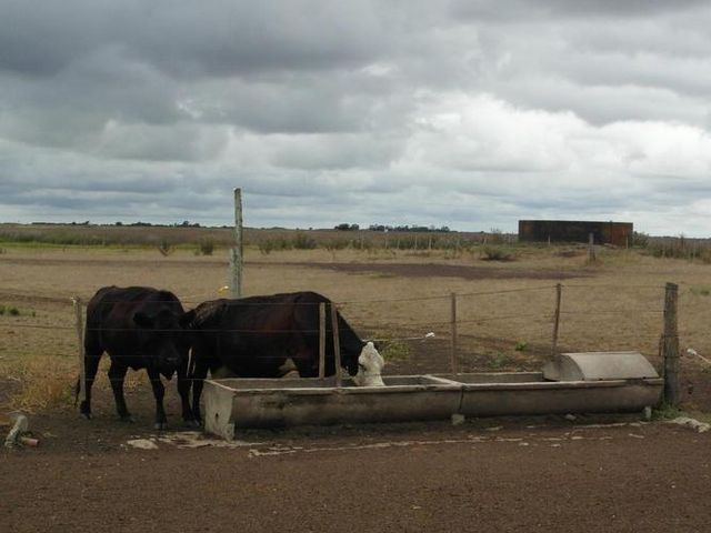 place photo 42