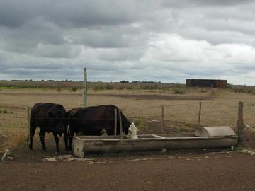 place photo 42