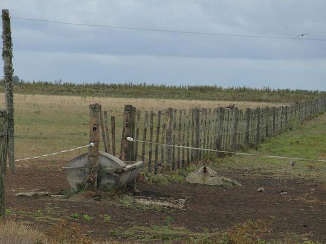 place photo 24