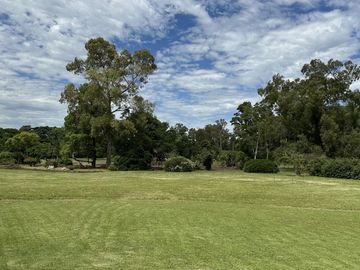 place photo 31