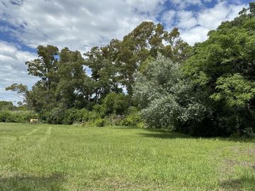 place photo 26