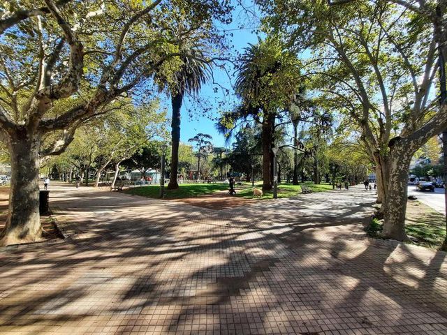 place photo 14