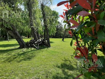 place photo 61