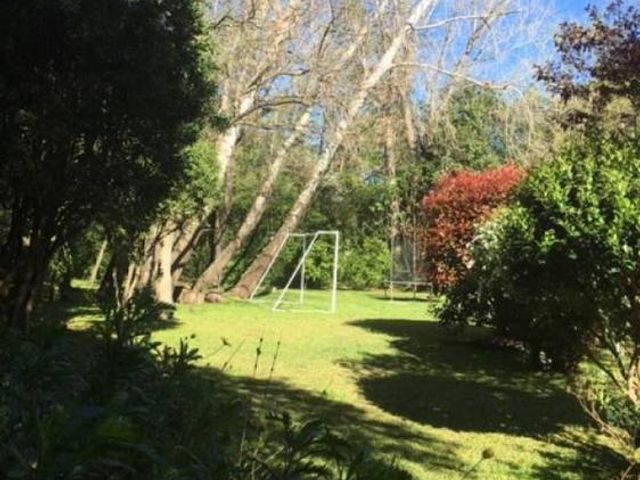 place photo 40