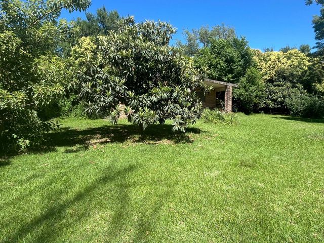 place photo 45