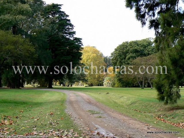 place photo 12