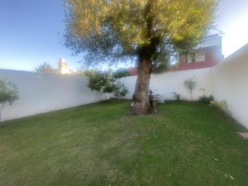 place photo 32
