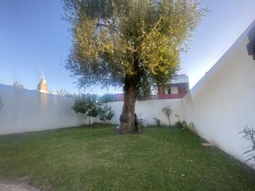 place photo 33