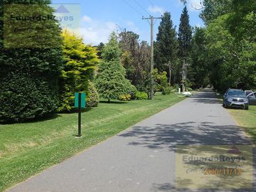 place photo 34