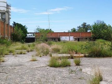 place photo 11