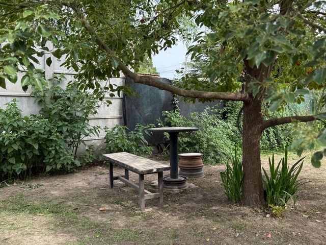 place photo 17