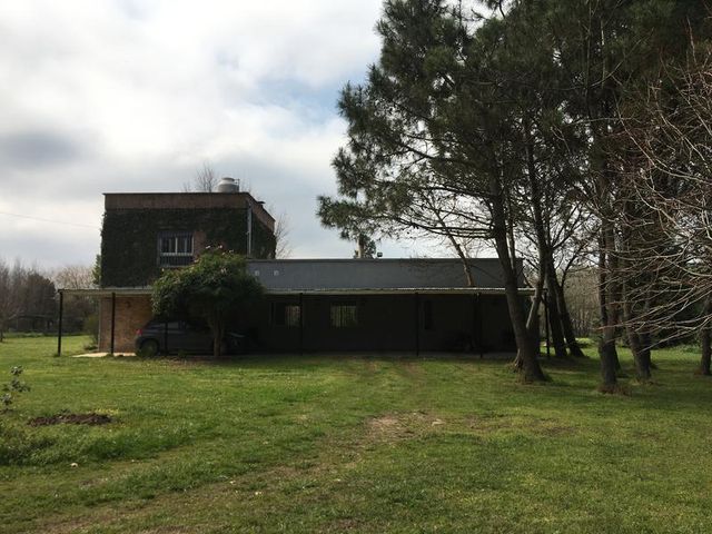 place photo 49