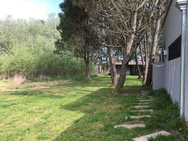 place photo 39