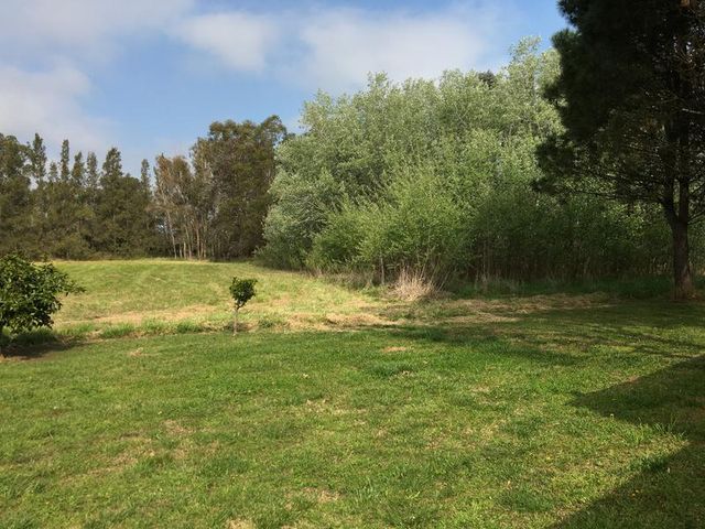 place photo 40