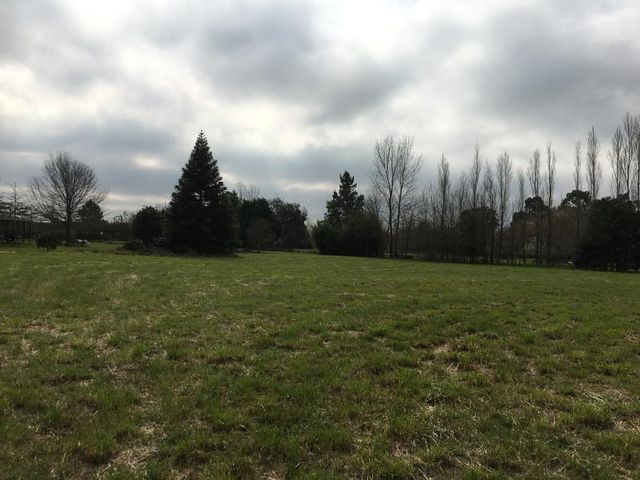 place photo 62
