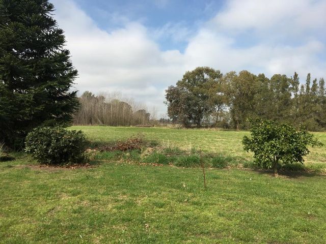 place photo 42
