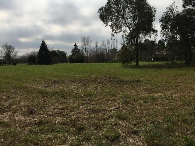 place photo 57
