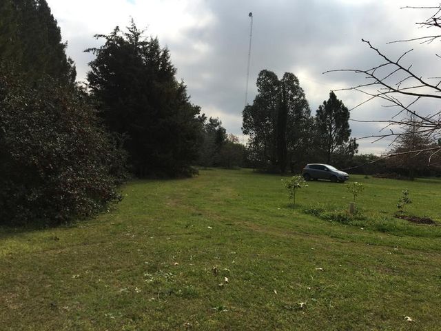 place photo 47