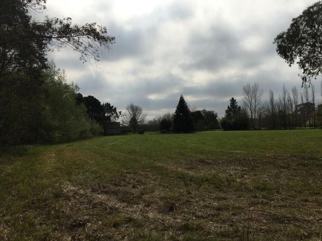 place photo 58