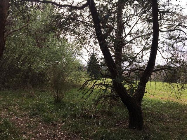 place photo 55