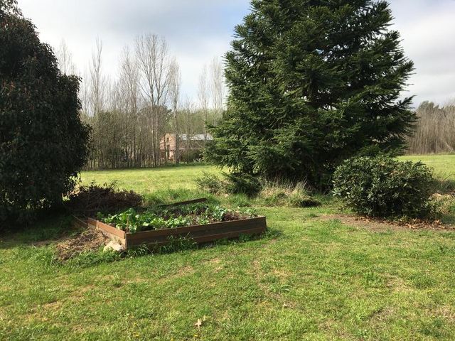 place photo 43