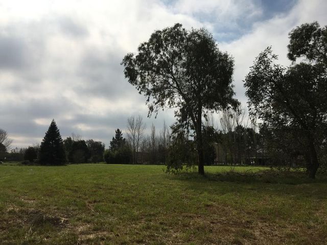 place photo 61