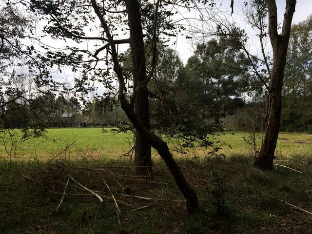 place photo 52