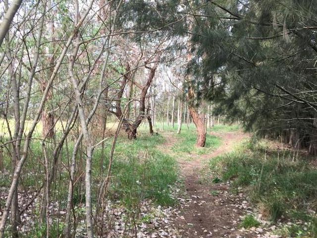 place photo 50